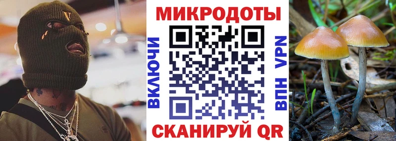 Псилоцибиновые грибы ЛСД  даркнет Telegram  Новосокольники  KRAKEN маркетплейс 