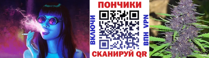 Конопля сатива  где найти   Новосокольники 